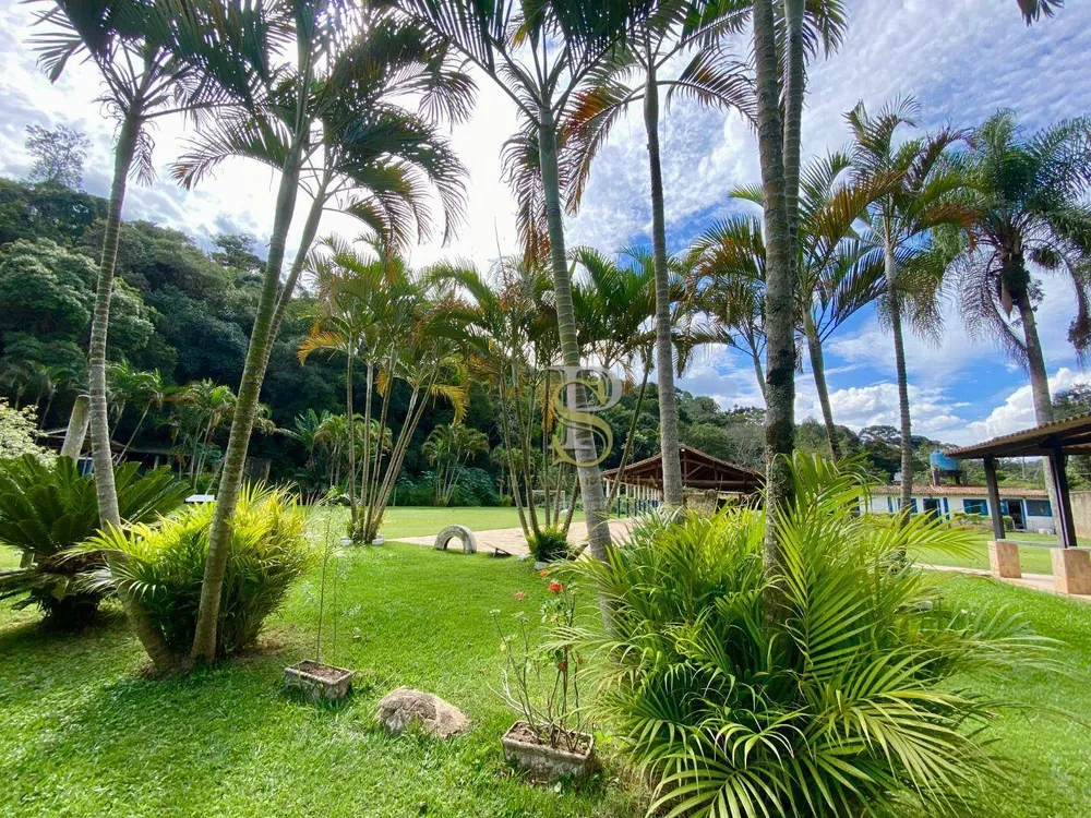 Sítio, 4 quartos, 3500 m² - Foto 3