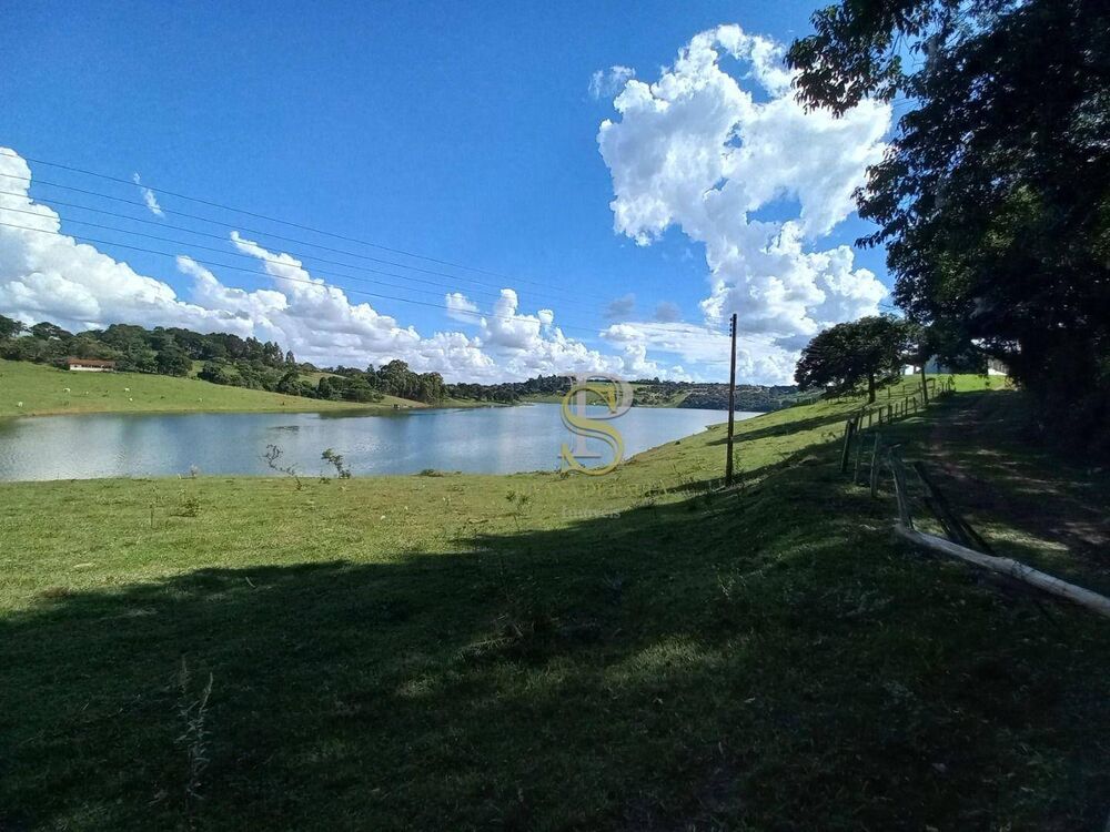 Terreno, 10 hectares - Foto 4