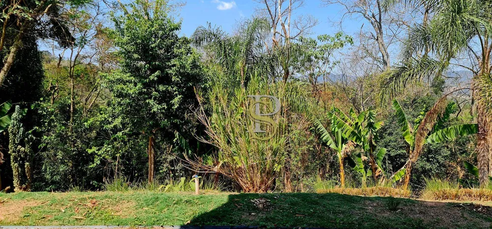 Chácara, 3 quartos, 4200 m² - Foto 9