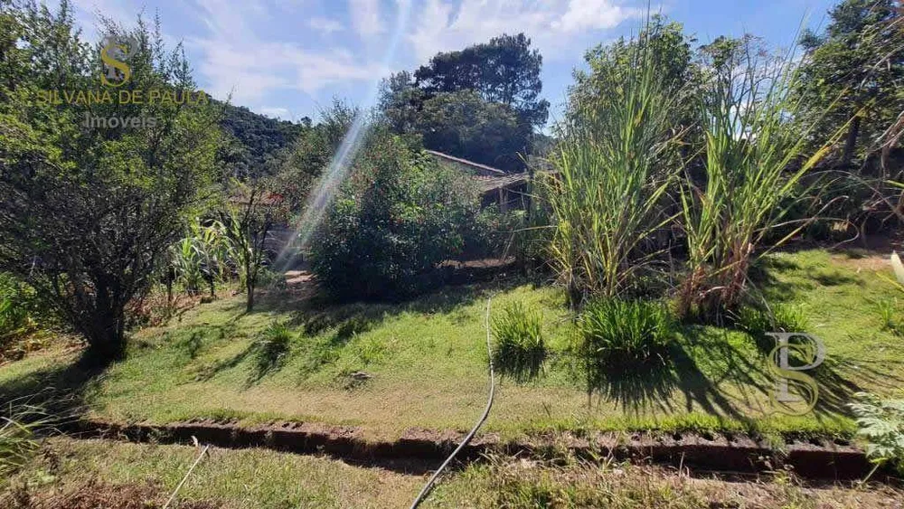 Terreno, 2697 m² - Foto 4