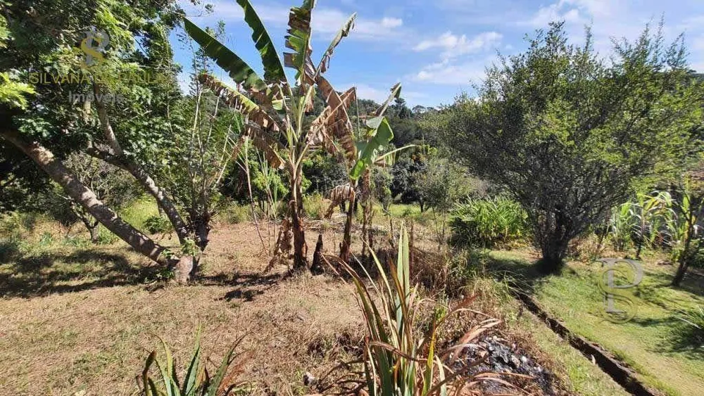 Terreno, 2697 m² - Foto 5