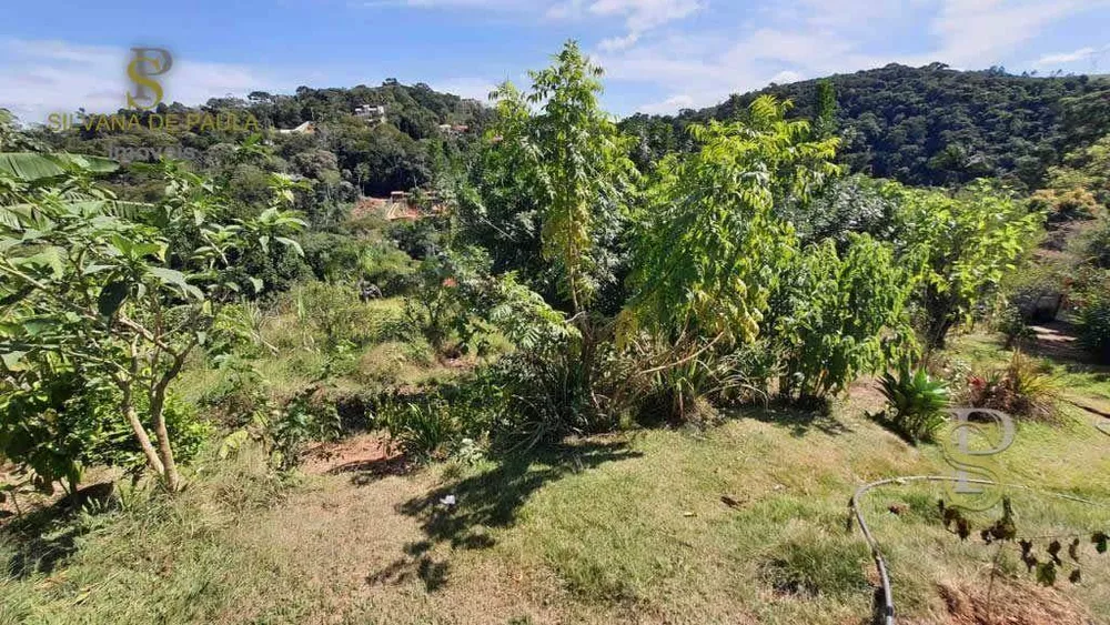 Terreno, 2697 m² - Foto 3