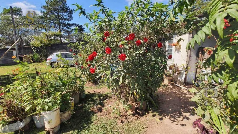 Terreno, 2697 m² - Foto 8