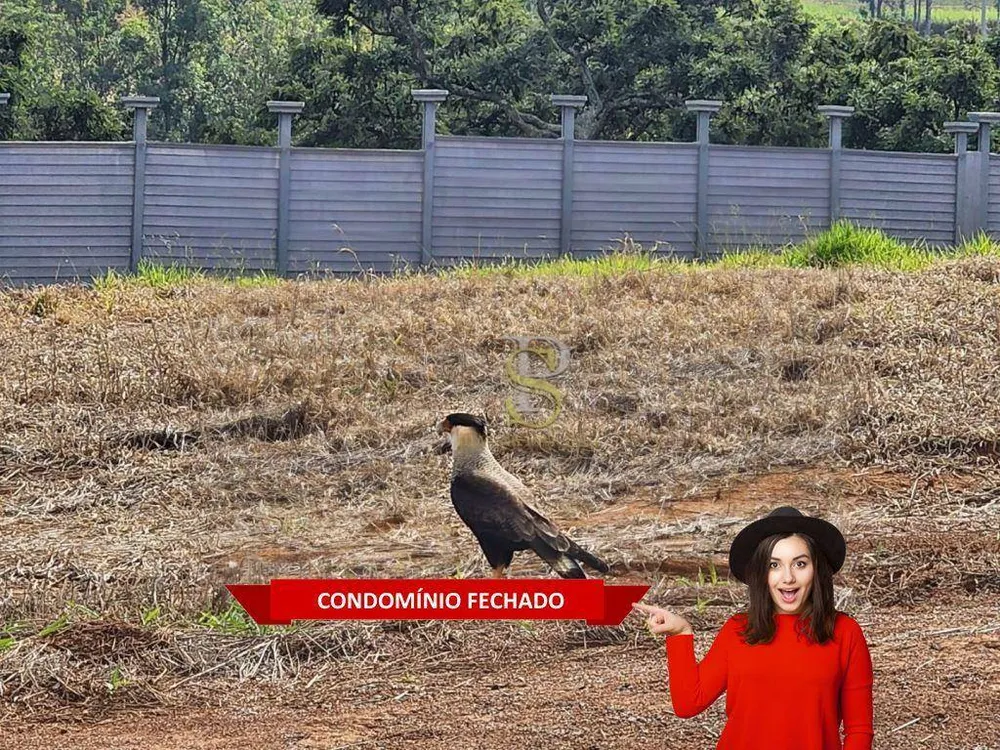 Loteamento e Condomínio, 1000 m² - Foto 1
