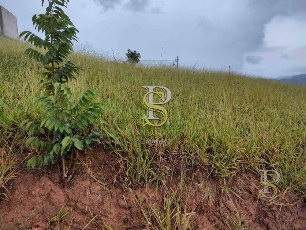 Loteamento e Condomínio à venda, 300M2 - Foto 3