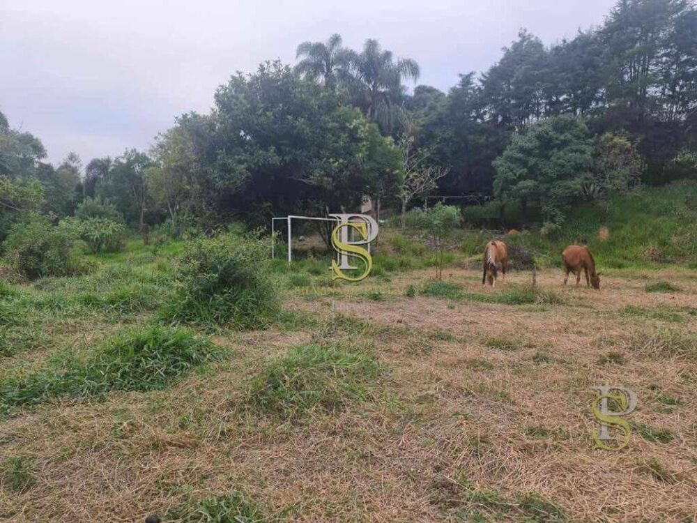 Terreno, 1 hectares - Foto 8