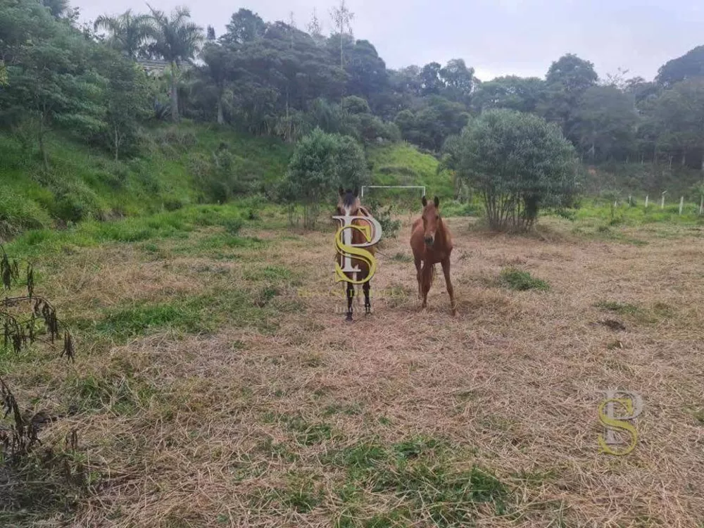 Terreno, 1 hectares - Foto 4