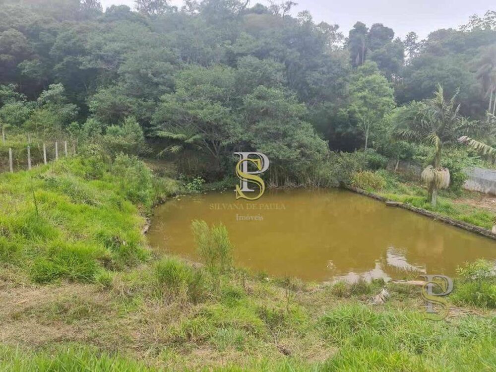Terreno, 1 hectares - Foto 7