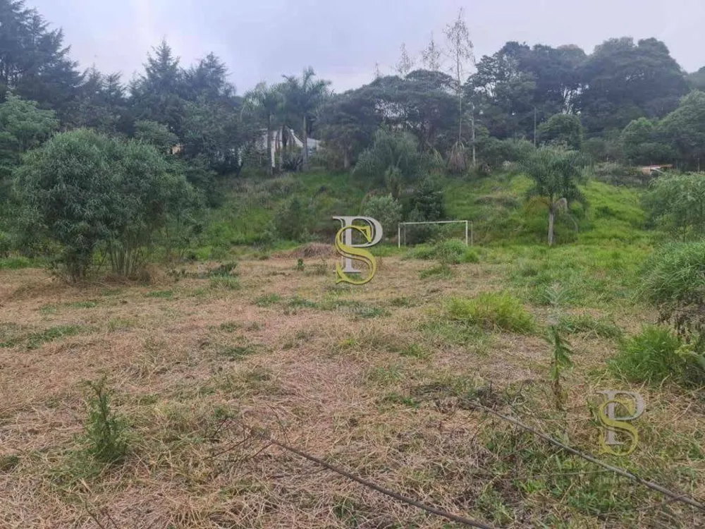 Terreno, 1 hectares - Foto 8