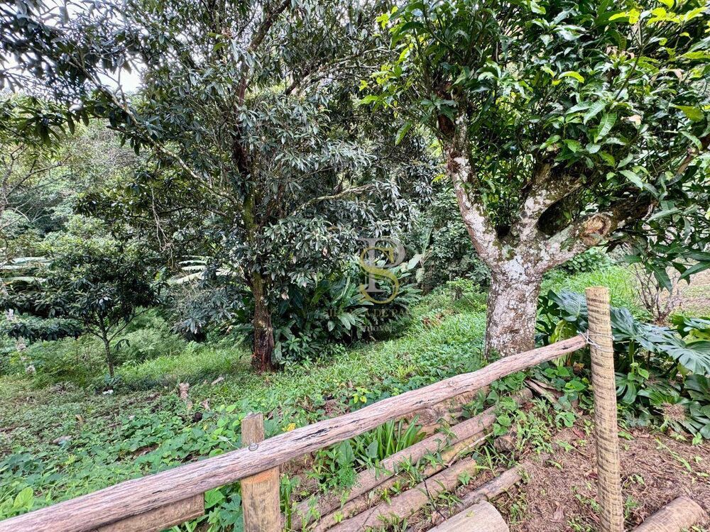 Chácara, 3 quartos, 2500 m² - Foto 11