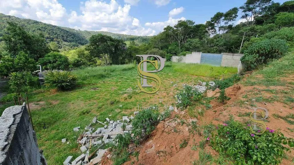 Chácara, 12 quartos, 1249 m² - Foto 1