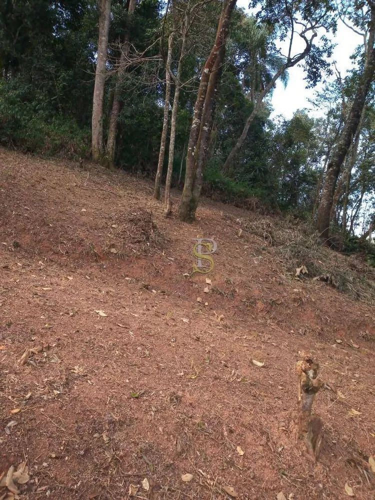 Terreno à venda, 1577M2 - Foto 2