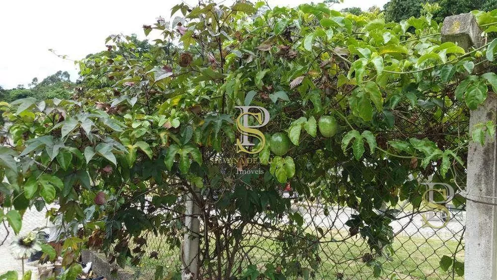 Chácara, 3 quartos, 3900 m² - Foto 4