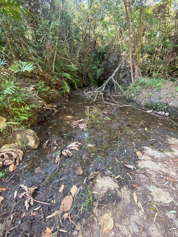 Terreno, 2 hectares - Foto 4