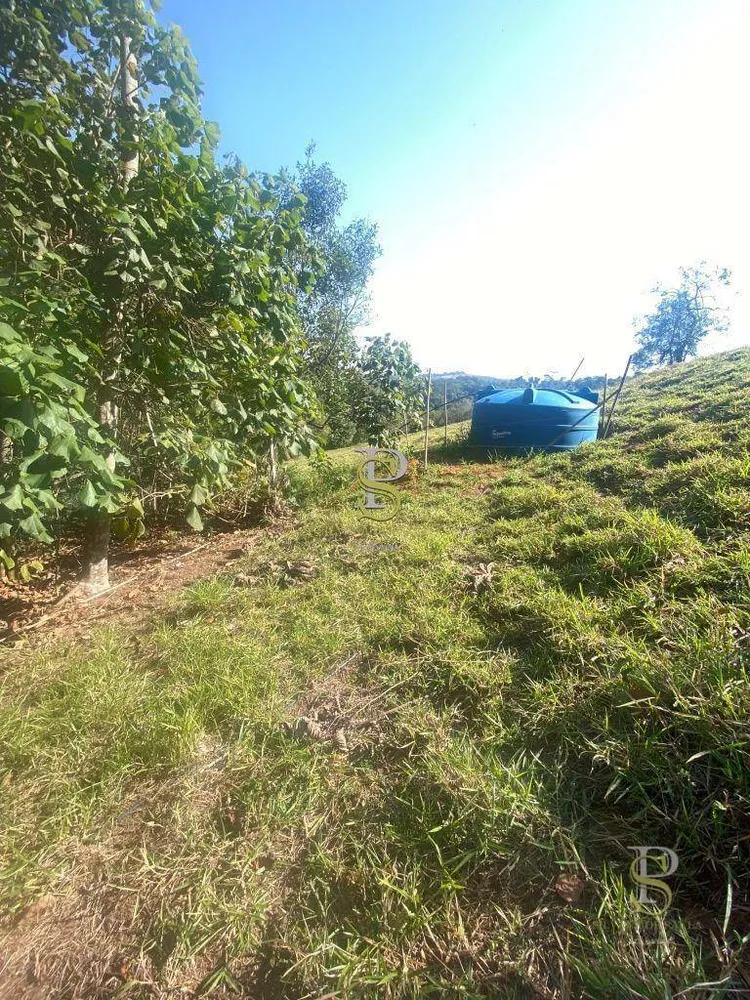 Terreno, 2 hectares - Foto 3