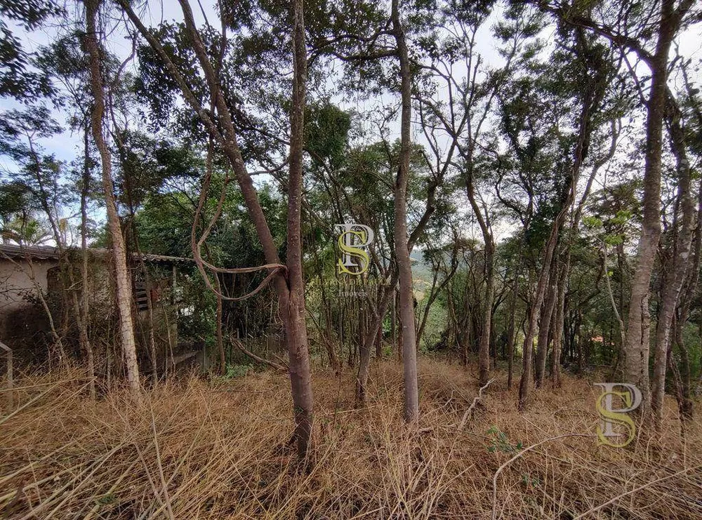 Terreno, 1000 m² - Foto 3