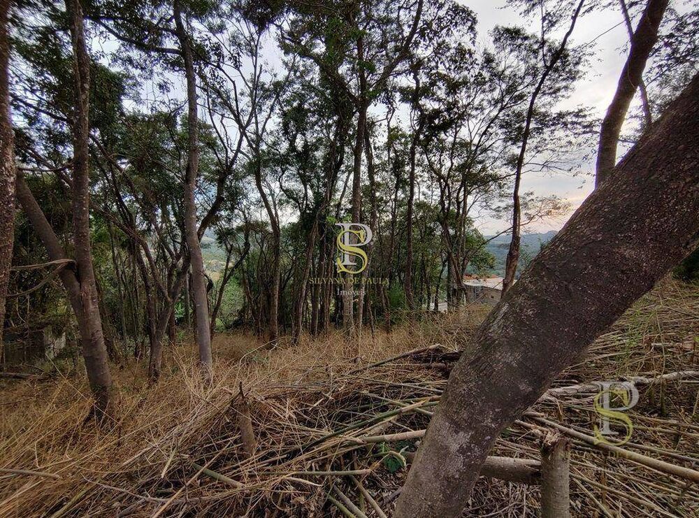 Terreno, 1000 m² - Foto 6