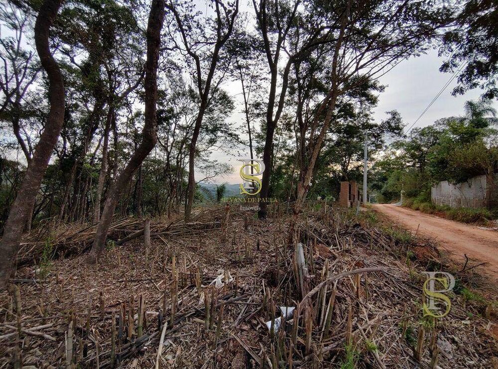 Terreno, 1000 m² - Foto 8