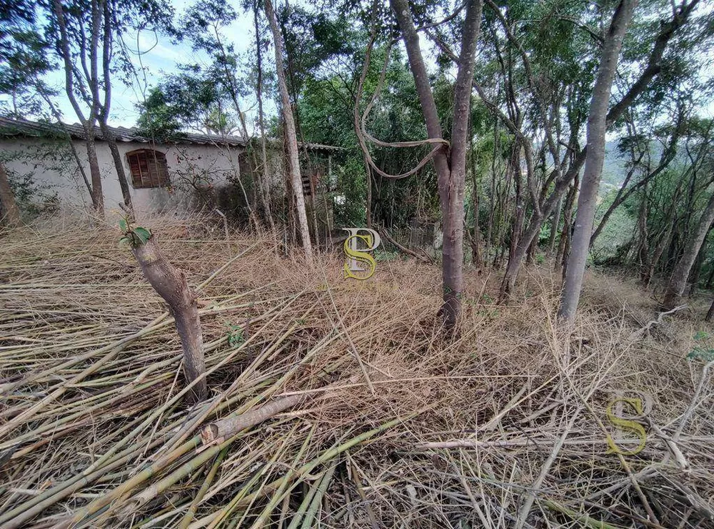 Terreno, 1000 m² - Foto 4