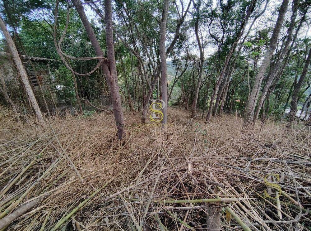 Terreno, 1000 m² - Foto 7
