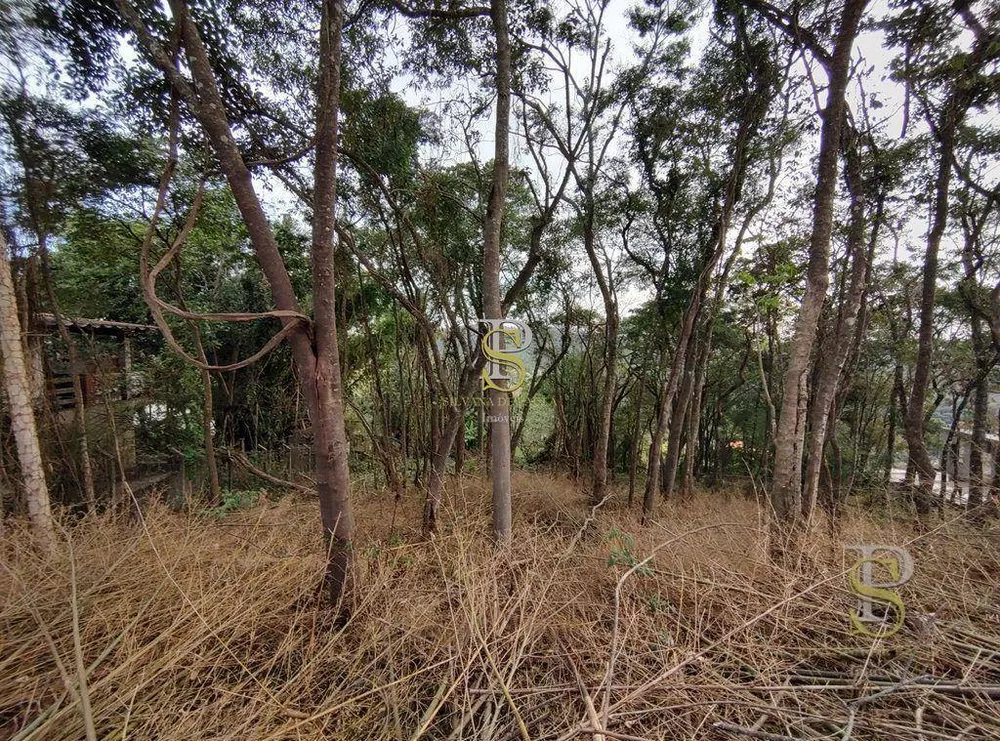 Terreno, 1000 m² - Foto 2