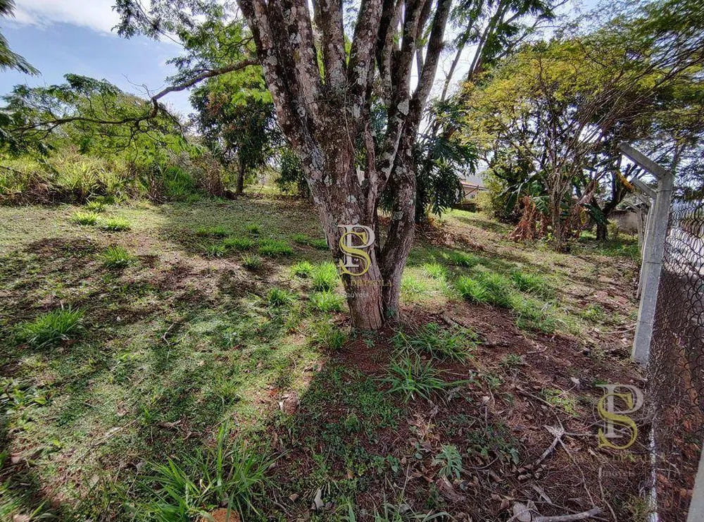 Terreno, 2000 m² - Foto 6