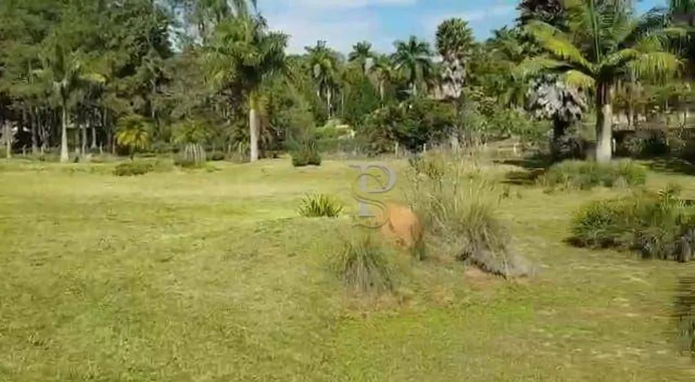 Terreno, 8900 m² - Foto 7