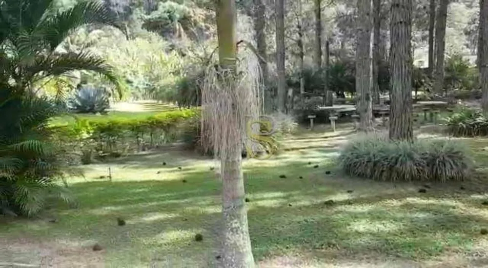 Terreno, 8900 m² - Foto 11