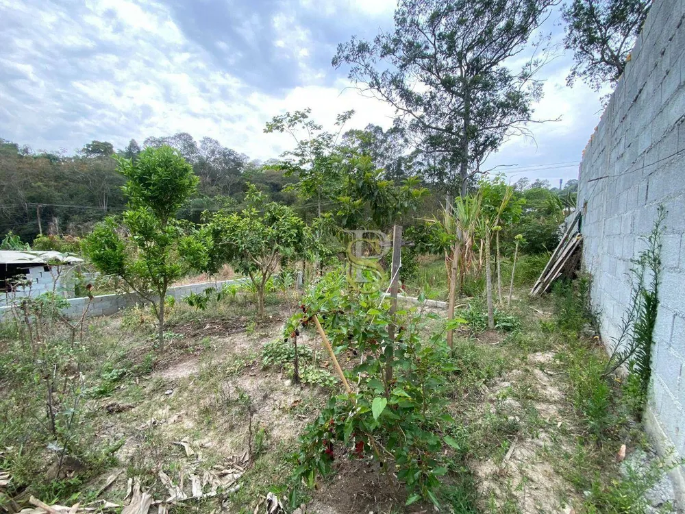 Chácara, 2 quartos, 1000 m² - Foto 6