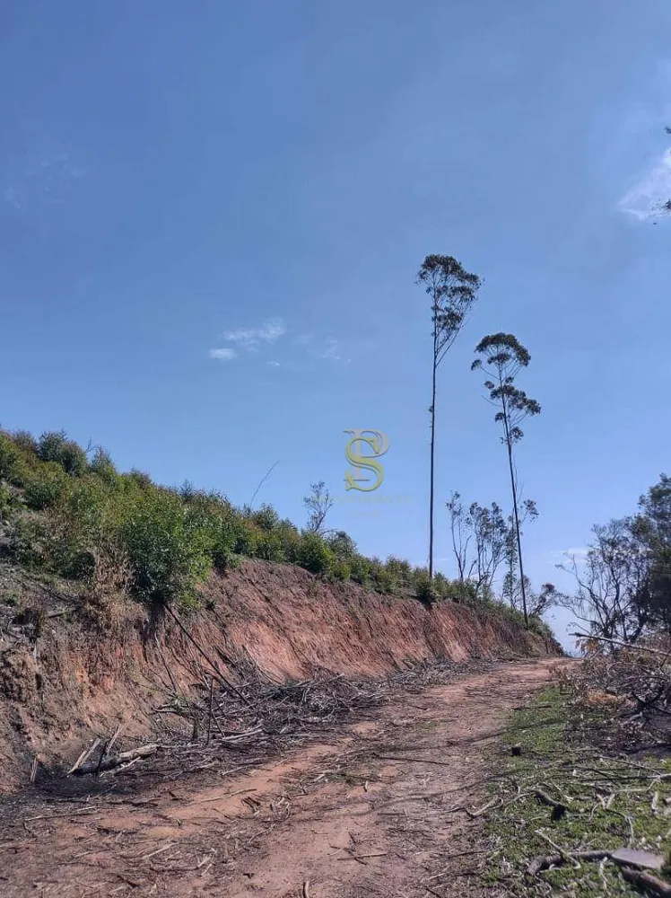 Sítio, 7 quartos, 26 hectares - Foto 10