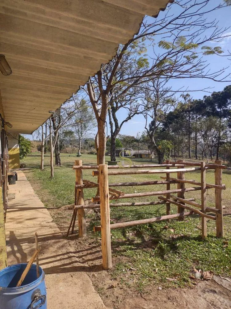 Sítio, 7 quartos, 26 hectares - Foto 8