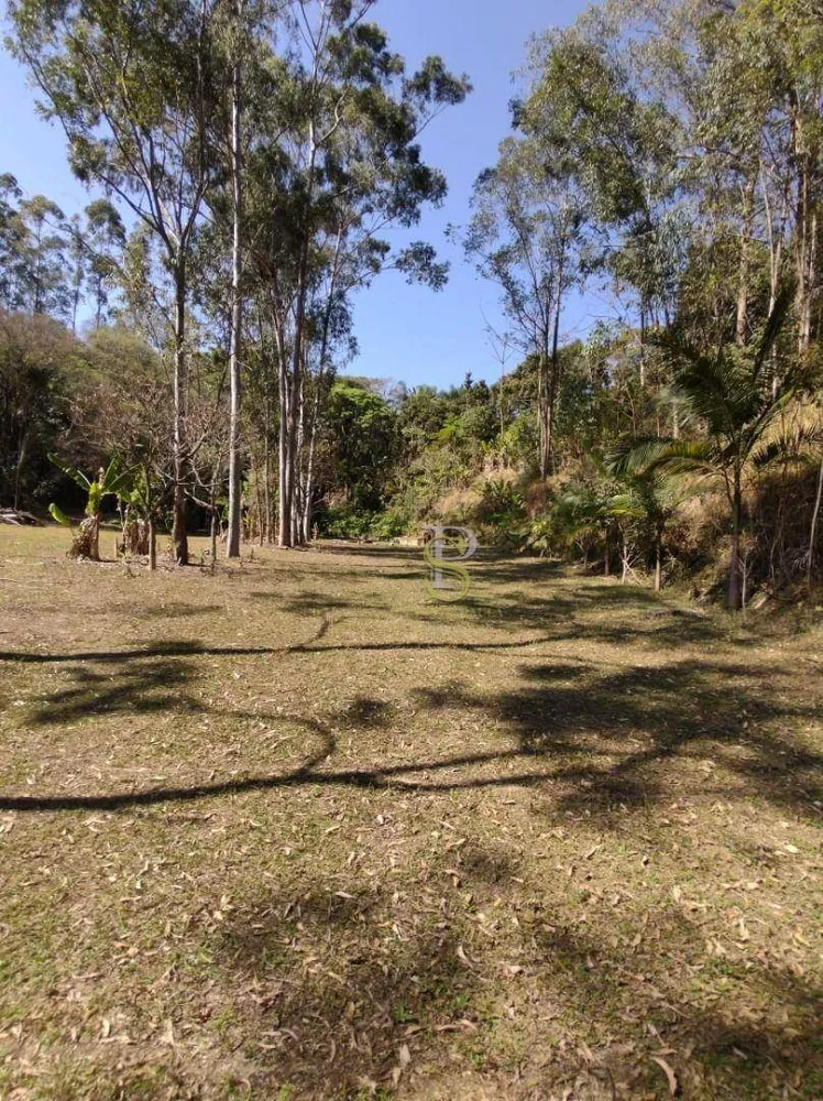 Sítio, 7 quartos, 26 hectares - Foto 9