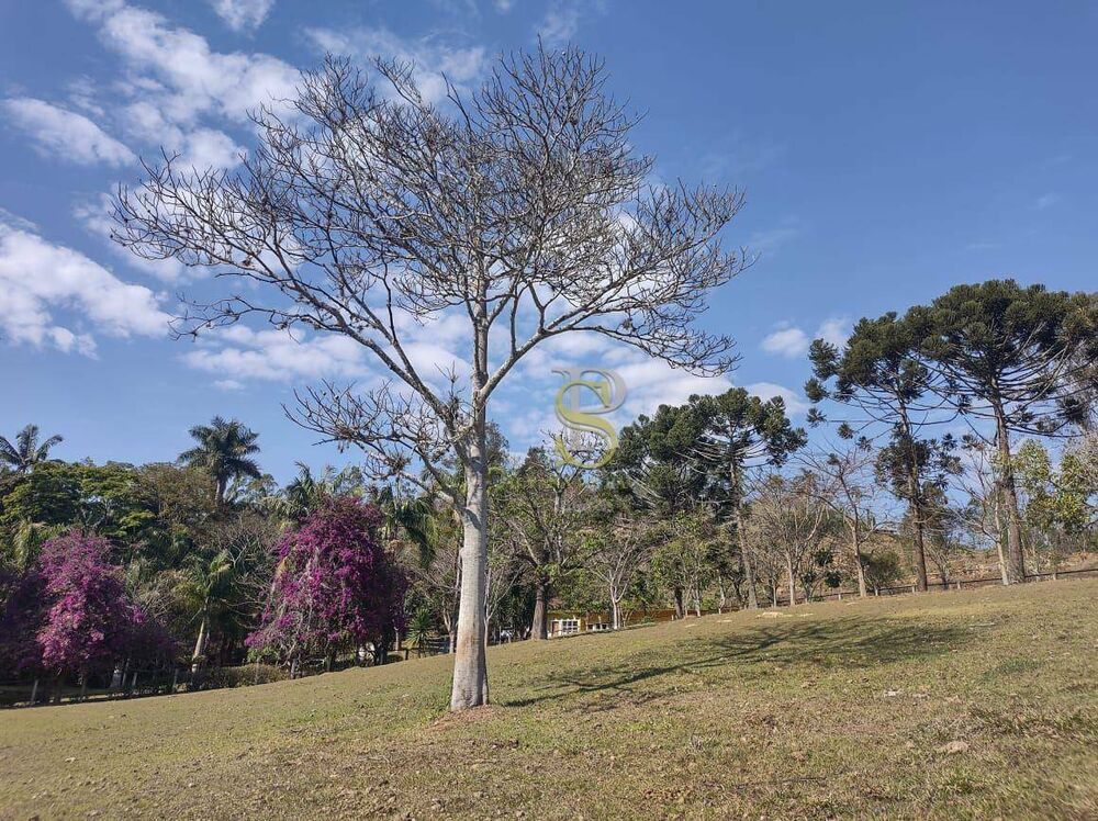 Sítio, 7 quartos, 26 hectares - Foto 3