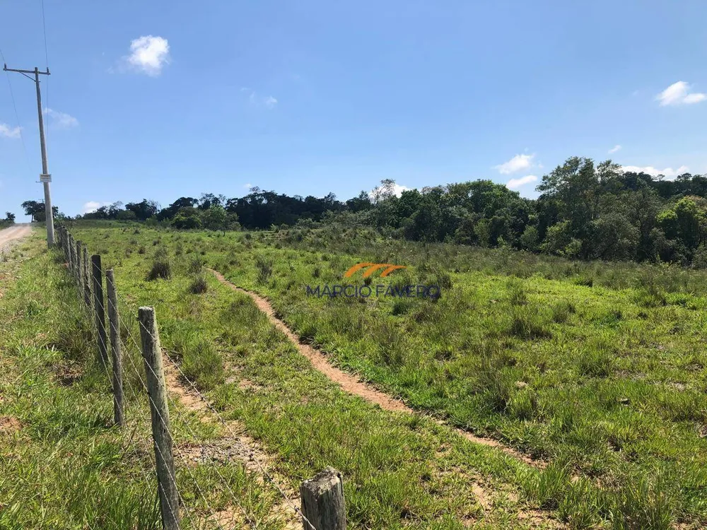 Sítio, 31 hectares - Foto 12