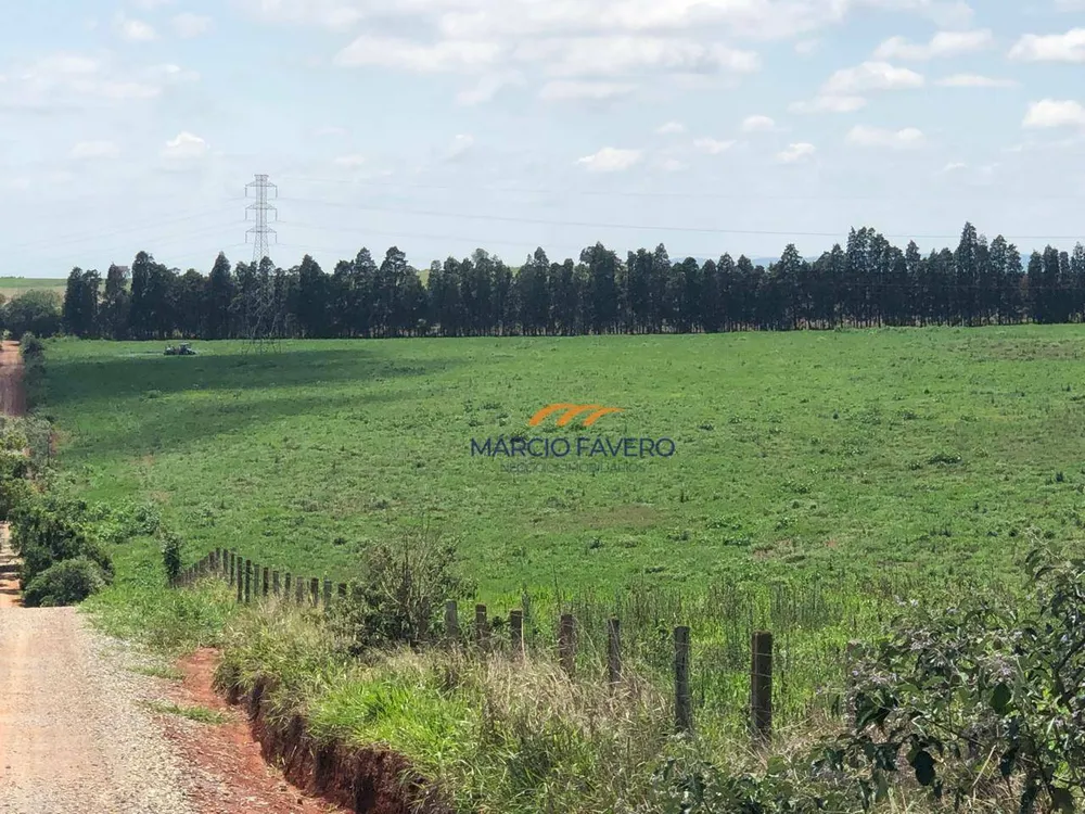 Sítio, 31 hectares - Foto 15