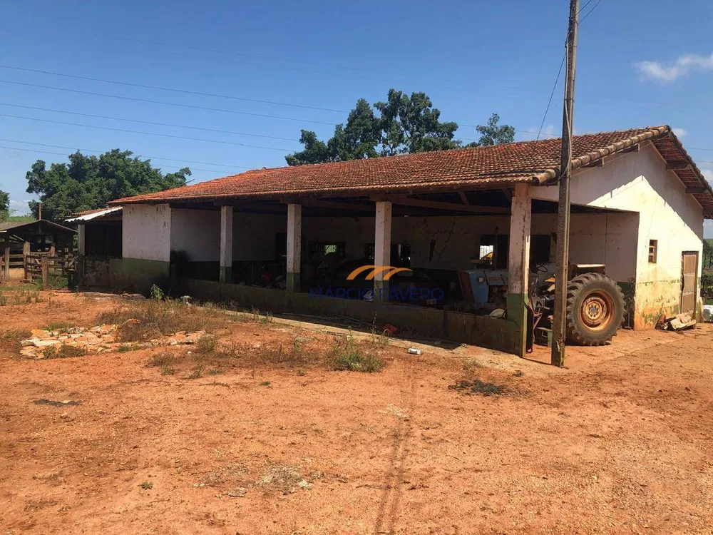 Sítio, 31 hectares - Foto 11