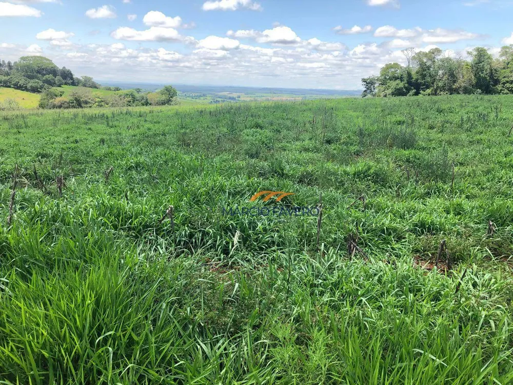 Sítio, 31 hectares - Foto 13