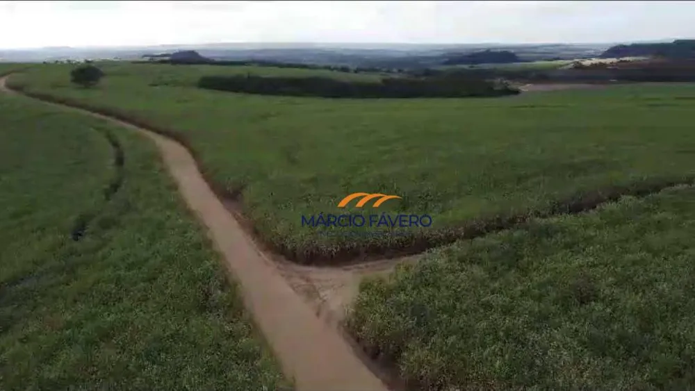 Fazenda, 215 hectares - Foto 4