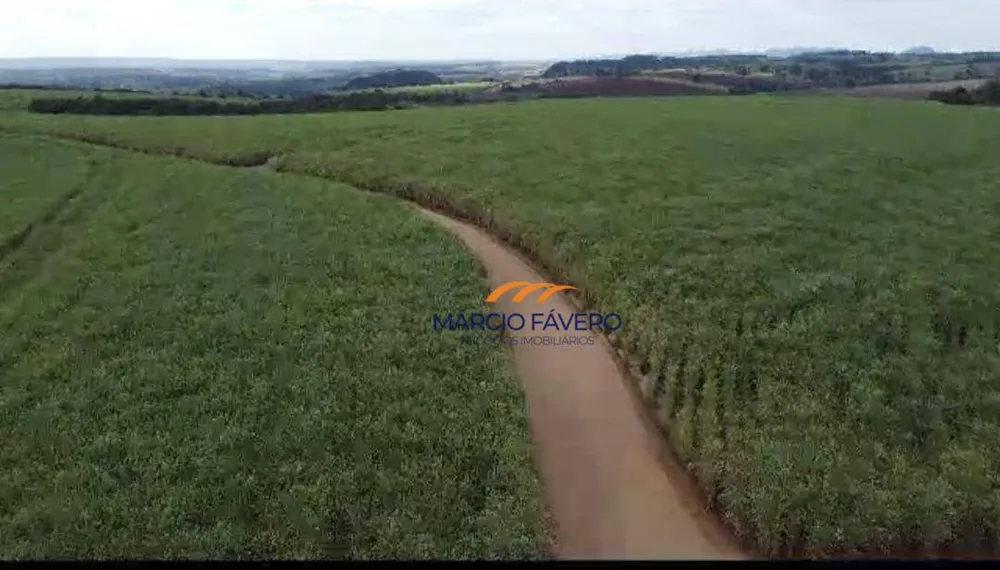 Fazenda, 215 hectares - Foto 1