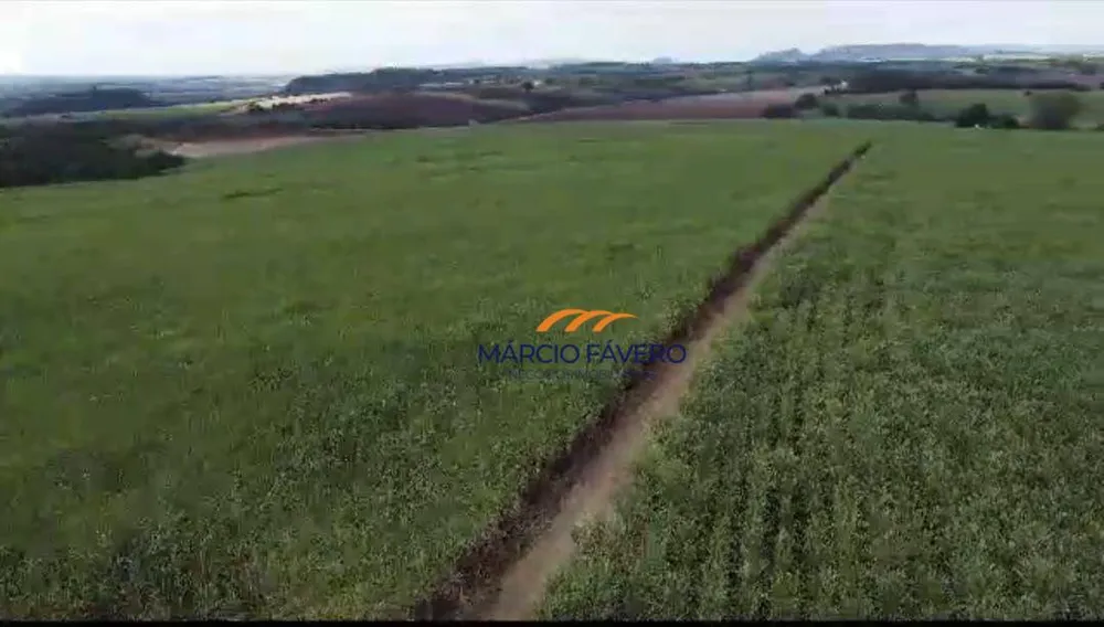 Fazenda, 215 hectares - Foto 2