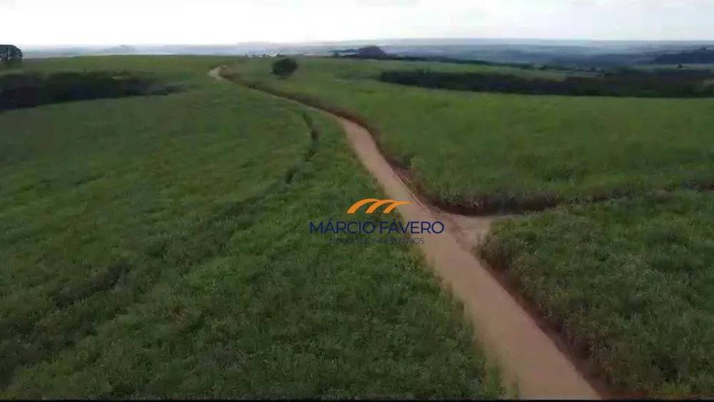 Fazenda, 215 hectares - Foto 6