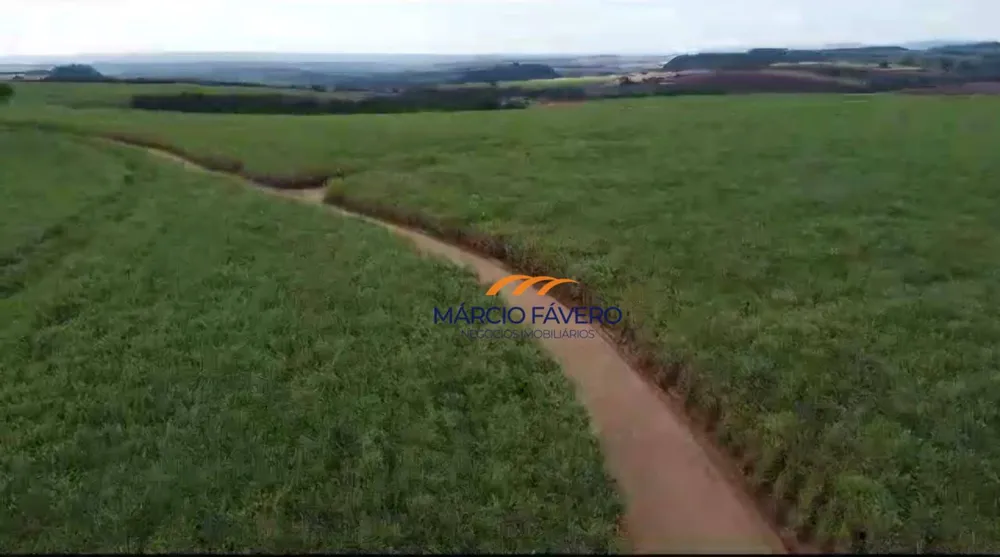 Fazenda, 215 hectares - Foto 9