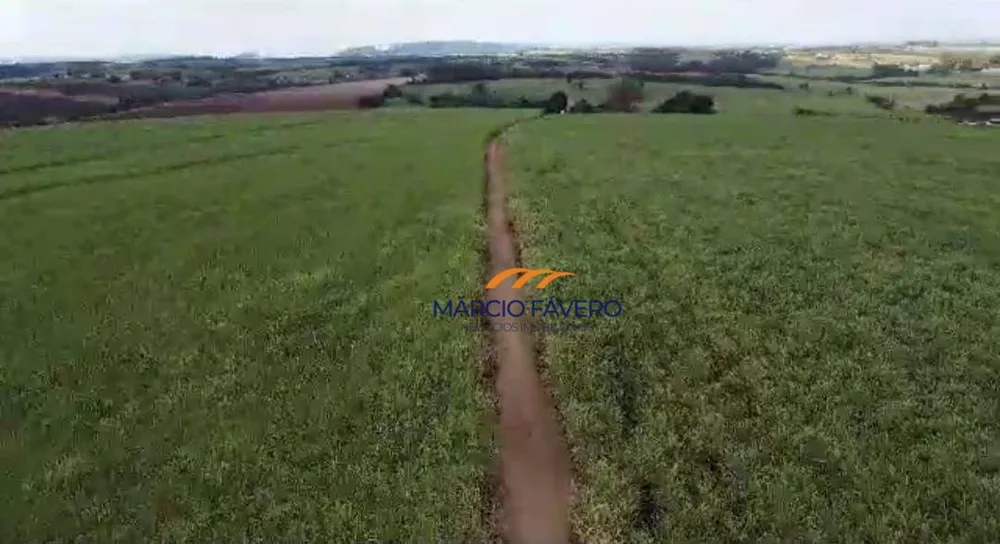 Fazenda, 215 hectares - Foto 3