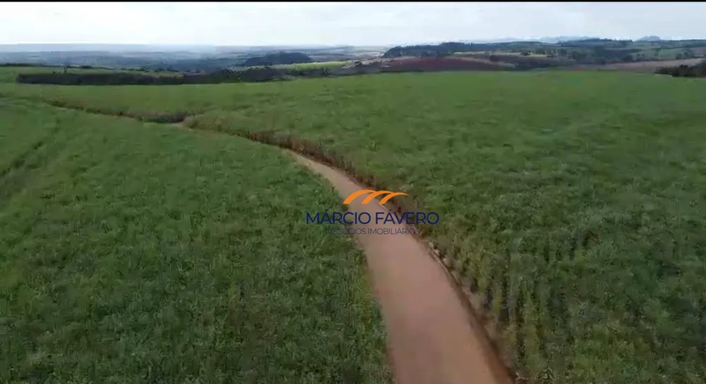 Fazenda, 215 hectares - Foto 8