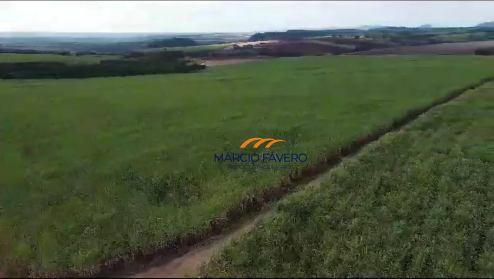 Fazenda, 215 hectares - Foto 7