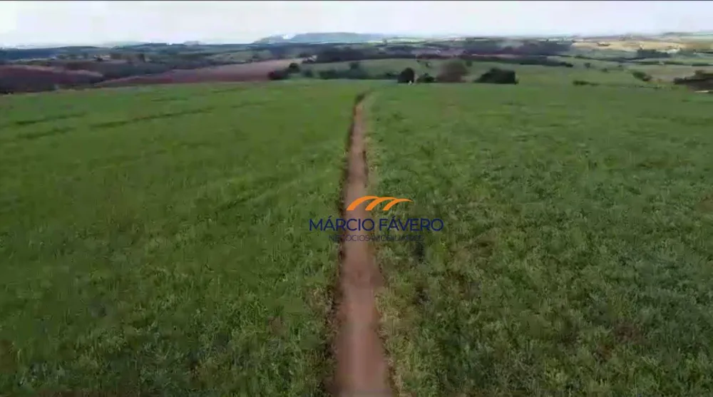 Fazenda, 215 hectares - Foto 10