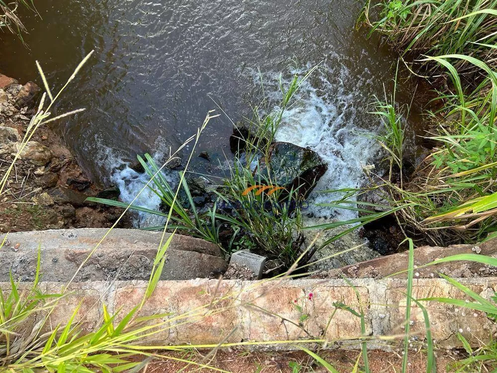 Fazenda, 140 hectares - Foto 1
