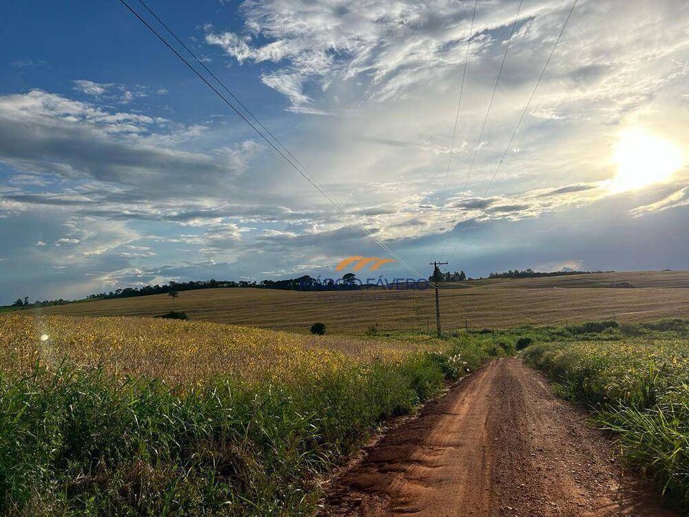 Fazenda, 140 hectares - Foto 3