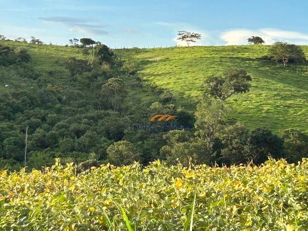 Fazenda, 140 hectares - Foto 4