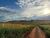 Fazenda, 140 hectares - Foto 1